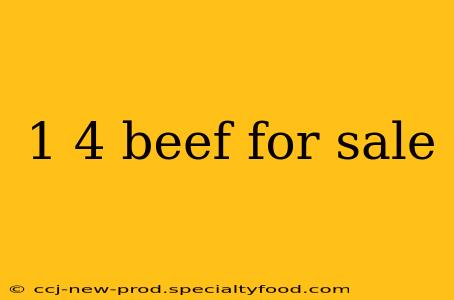 1 4 beef for sale