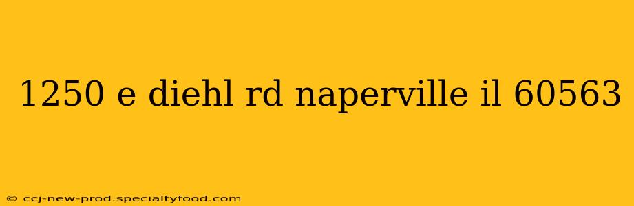 1250 e diehl rd naperville il 60563