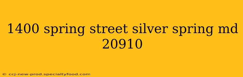 1400 spring street silver spring md 20910
