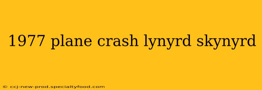 1977 plane crash lynyrd skynyrd