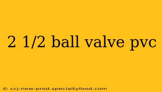 2 1/2 ball valve pvc