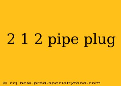 2 1 2 pipe plug