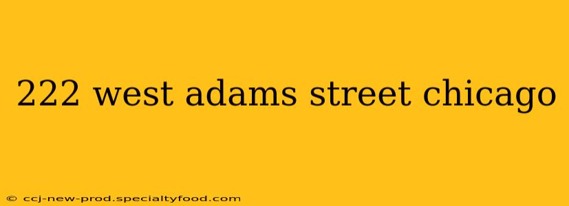 222 west adams street chicago