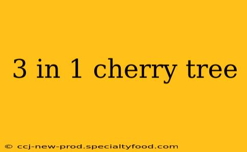 3 in 1 cherry tree