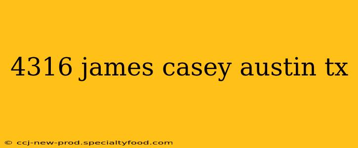 4316 james casey austin tx