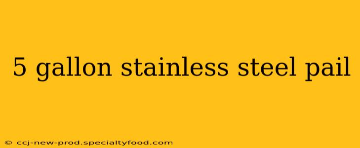 5 gallon stainless steel pail