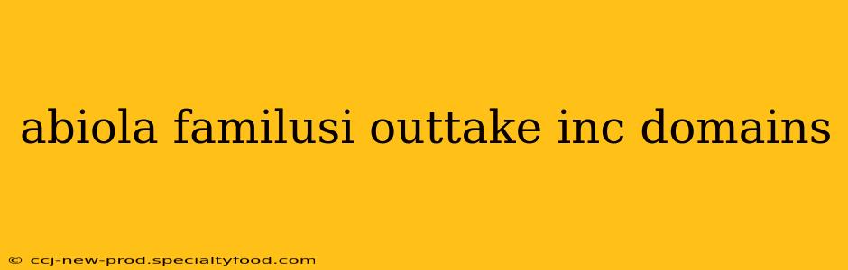 abiola familusi outtake inc domains