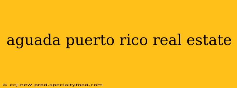 aguada puerto rico real estate