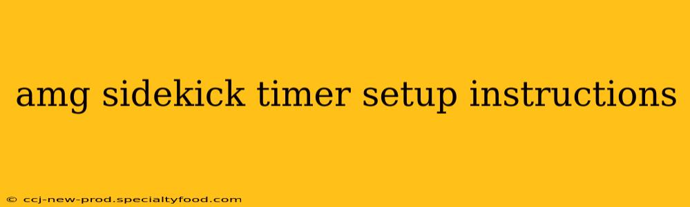 amg sidekick timer setup instructions