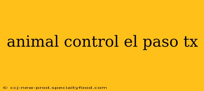 animal control el paso tx