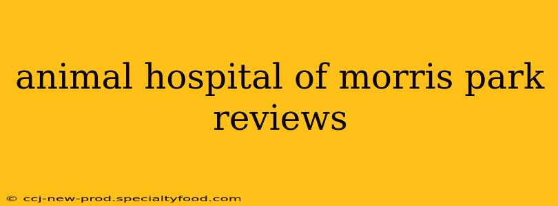animal hospital of morris park reviews