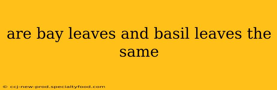 are bay leaves and basil leaves the same