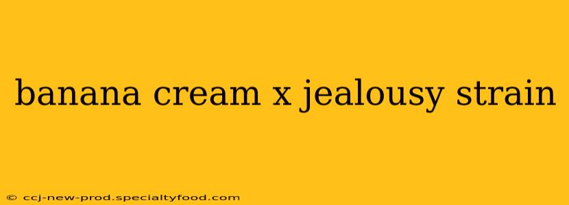 banana cream x jealousy strain