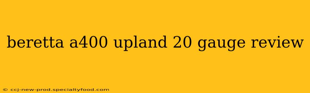beretta a400 upland 20 gauge review