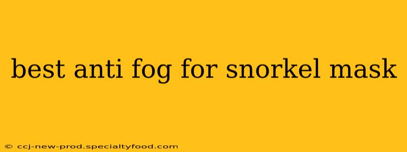 best anti fog for snorkel mask