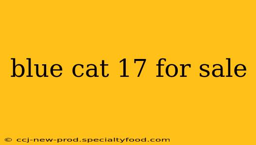 blue cat 17 for sale