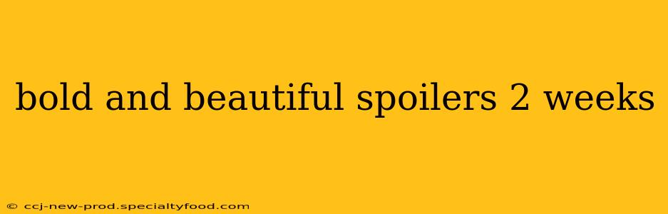 bold and beautiful spoilers 2 weeks