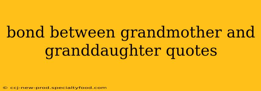 bond between grandmother and granddaughter quotes