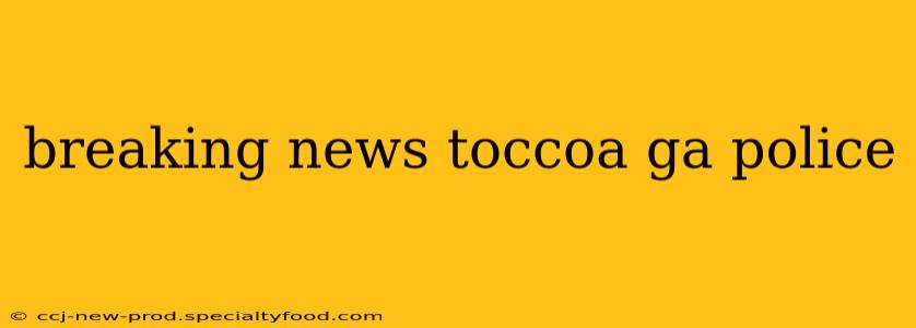 breaking news toccoa ga police