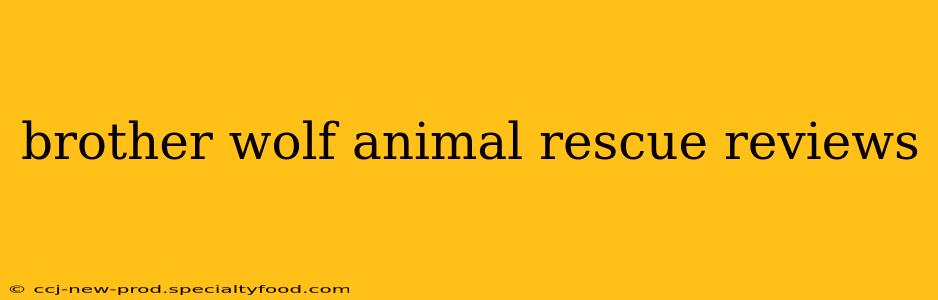 brother wolf animal rescue reviews