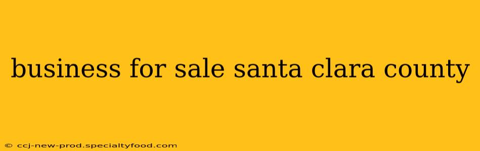 business for sale santa clara county