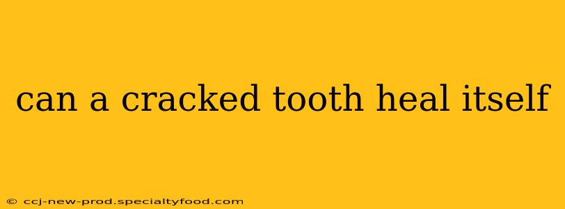 can a cracked tooth heal itself