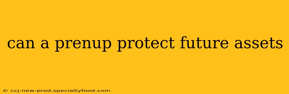 can a prenup protect future assets
