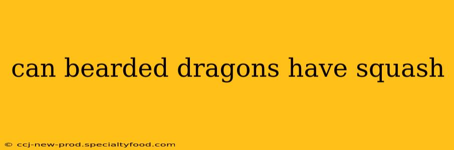 can bearded dragons have squash