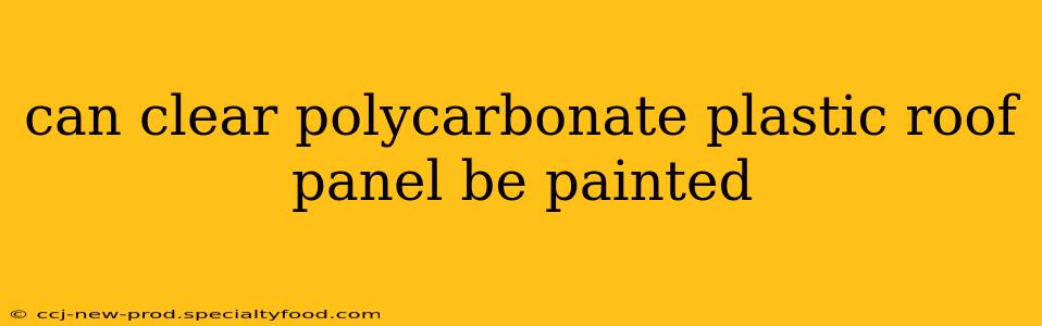 can clear polycarbonate plastic roof panel be painted