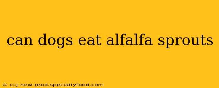 can dogs eat alfalfa sprouts