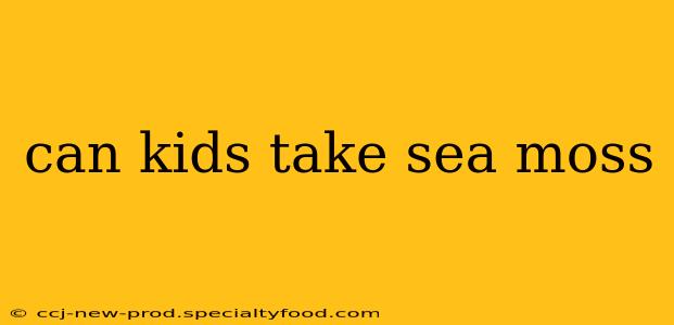 can kids take sea moss