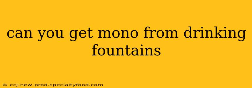 can you get mono from drinking fountains
