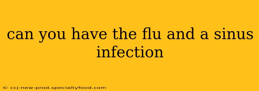 can you have the flu and a sinus infection