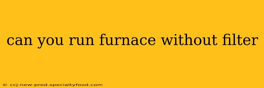 can you run furnace without filter
