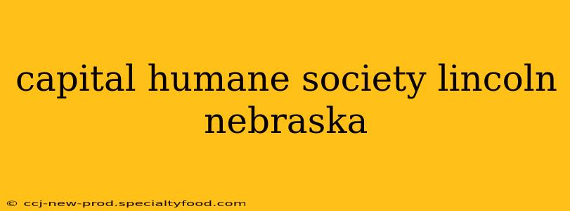 capital humane society lincoln nebraska