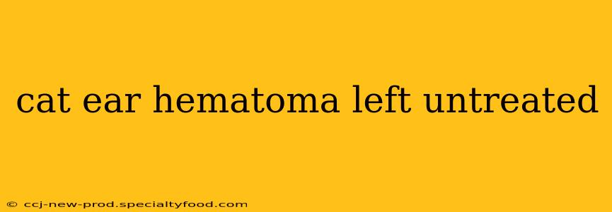 cat ear hematoma left untreated