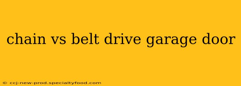 chain vs belt drive garage door