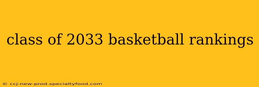 class of 2033 basketball rankings