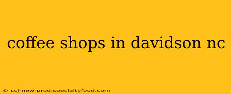 coffee shops in davidson nc