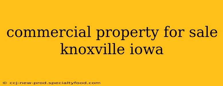 commercial property for sale knoxville iowa