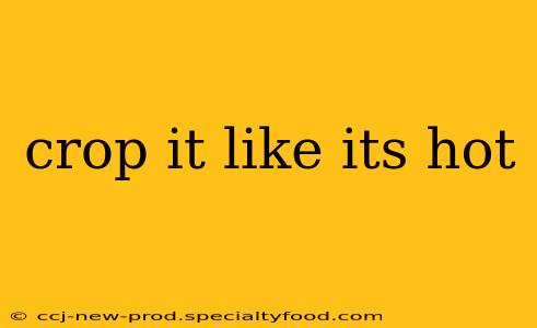 crop it like its hot