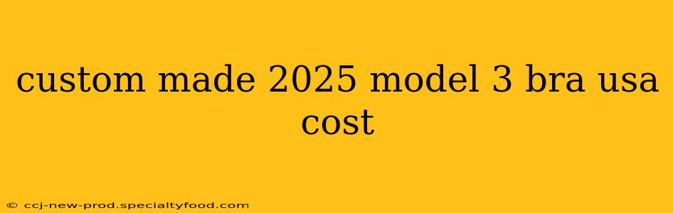 custom made 2025 model 3 bra usa cost