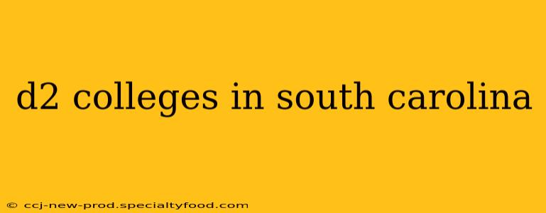 d2 colleges in south carolina