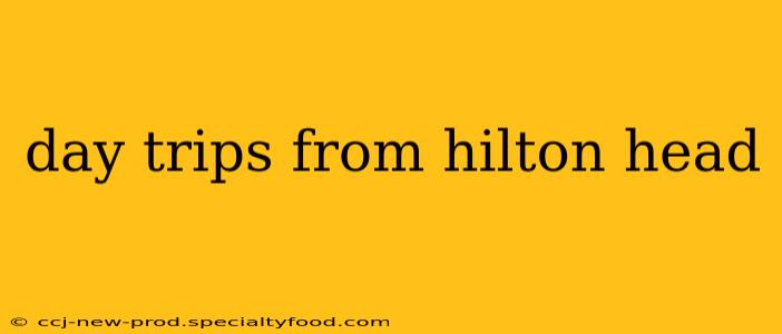 day trips from hilton head