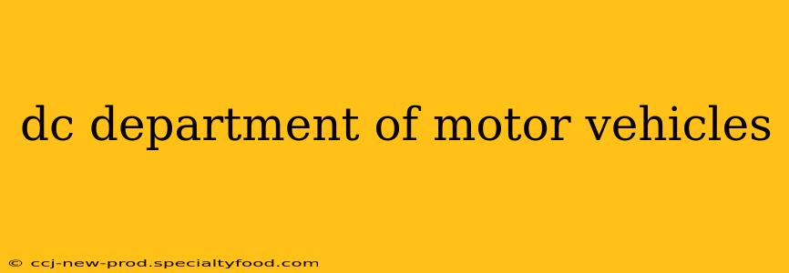 dc department of motor vehicles