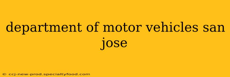 department of motor vehicles san jose
