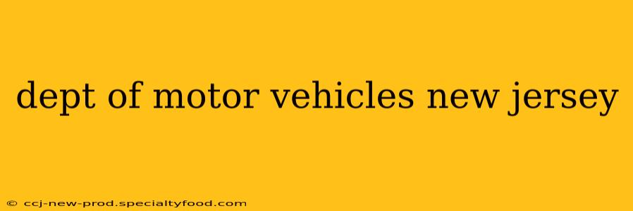 dept of motor vehicles new jersey