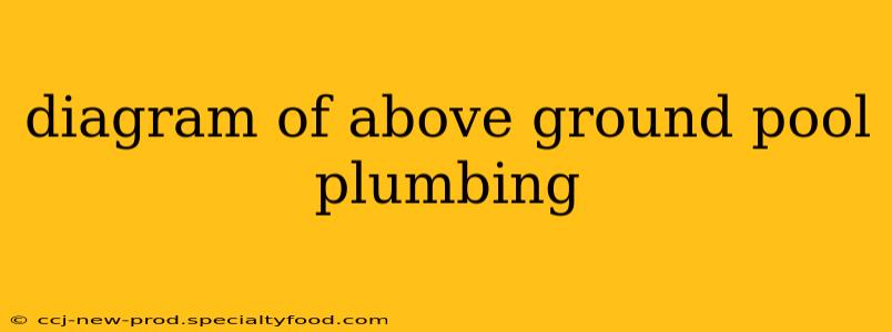 diagram of above ground pool plumbing