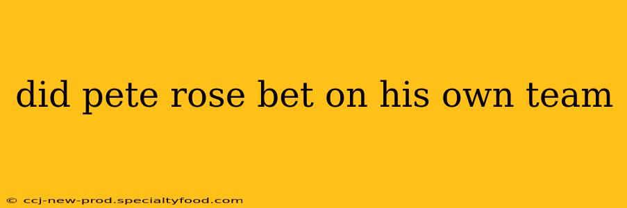 did pete rose bet on his own team