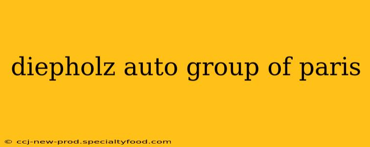 diepholz auto group of paris